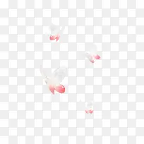 粉色白色蝴蝶-空若网 粉色白色蝴蝶-空若网