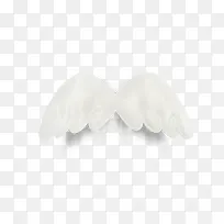 翅膀-空若网 翅膀-空若网