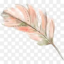 手绘羽毛-空若网 手绘羽毛-空若网