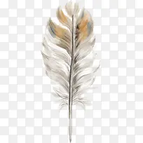 手绘羽毛-空若网 手绘羽毛-空若网