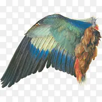 ������-������