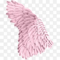 粉色翅膀-空若网 粉色翅膀-空若网