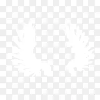 白色翅膀-空若网 白色翅膀-空若网