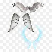 ������ʹ����ز�-������