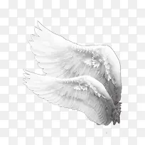 ���-������