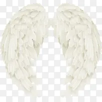 翅膀-空若网 翅膀-空若网