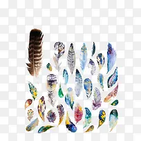 水彩羽毛-空若网 水彩羽毛-空若网