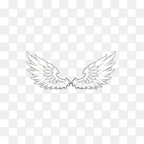 白色翅膀-空若网 白色翅膀-空若网