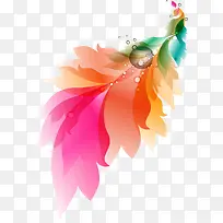 水彩羽毛-空若网 水彩羽毛-空若网