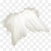 ���-������