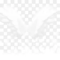 白色的天使之翼-空若网 白色的天使之翼-空若网