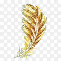 手绘羽毛-空若网 手绘羽毛-空若网