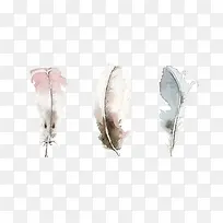 手绘水彩羽毛-空若网 手绘水彩羽毛-空若网