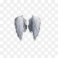 翅膀白色翅膀模板天使-空若网 翅膀白色翅膀模板天使-空若网