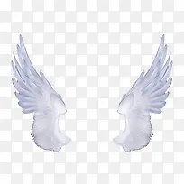 ��ɫ �������-������