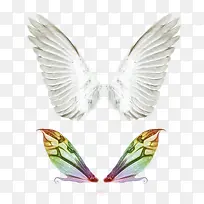 翅膀矢量图-空若网 翅膀矢量图-空若网