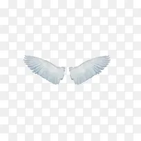 翅膀矢量图-空若网 翅膀矢量图-空若网