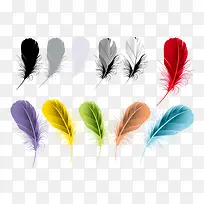彩色羽毛矢量素材-空若网 彩色羽毛矢量素材-空若网
