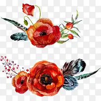 水彩矢量花卉羽毛-空若网 水彩矢量花卉羽毛-空若网