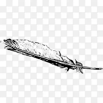 手绘插画羽毛-空若网 手绘插画羽毛-空若网