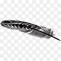 羽毛装饰设计矢量-空若网 羽毛装饰设计矢量-空若网