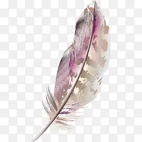 ��ëװ�����ʸ��-������