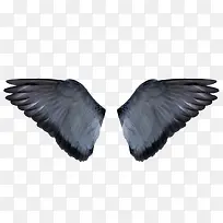 灰色的翅膀-空若网 灰色的翅膀-空若网