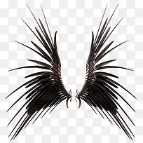 创意黑色翅膀-空若网 创意黑色翅膀-空若网