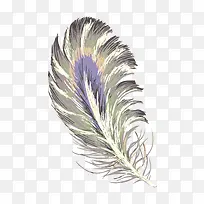 �ֻ���ëʸ���ز�-������