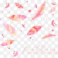 ˮ����ë-������