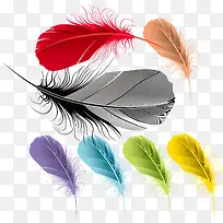 ʸ����ɫ��ë�ز�-������