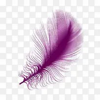 彩色羽毛矢量图-空若网 彩色羽毛矢量图-空若网
