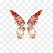 羽毛矢量羽毛-空若网 羽毛矢量羽毛-空若网