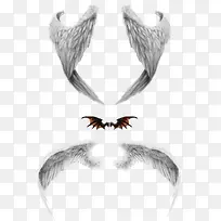 老鹰翅膀和蝙蝠翅膀-空若网 老鹰翅膀和蝙蝠翅膀-空若网