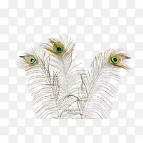 摄影 高清-空若网 摄影 高清-空若网