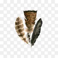 卡通鸟类羽毛-空若网 卡通鸟类羽毛-空若网