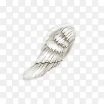 翅膀-空若网 翅膀-空若网