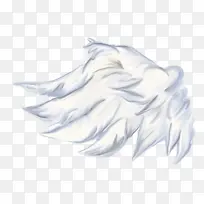 翅膀-空若网 翅膀-空若网