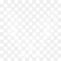 翅膀-空若网 翅膀-空若网