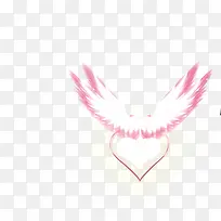 翅膀-空若网 翅膀-空若网