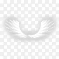 翅膀-空若网 翅膀-空若网