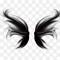 翅膀-空若网 翅膀-空若网