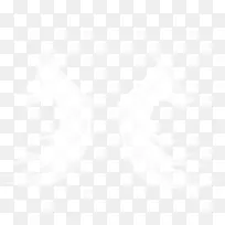 翅膀-空若网 翅膀-空若网