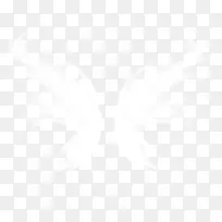 翅膀-空若网 翅膀-空若网