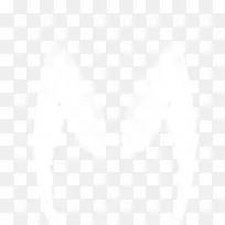 翅膀-空若网 翅膀-空若网