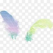 彩色翅膀-空若网 彩色翅膀-空若网