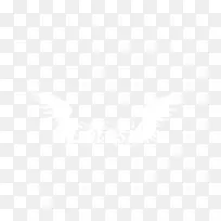 翅膀-空若网 翅膀-空若网