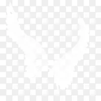 翅膀-空若网 翅膀-空若网