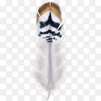 简约羽毛矢量素材-空若网 简约羽毛矢量素材-空若网