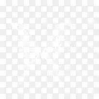 翅膀-空若网 翅膀-空若网